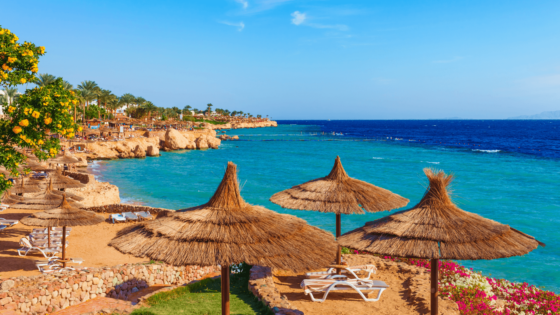 EGIPTO FASCINANTE Y SHARM EL SHEIK